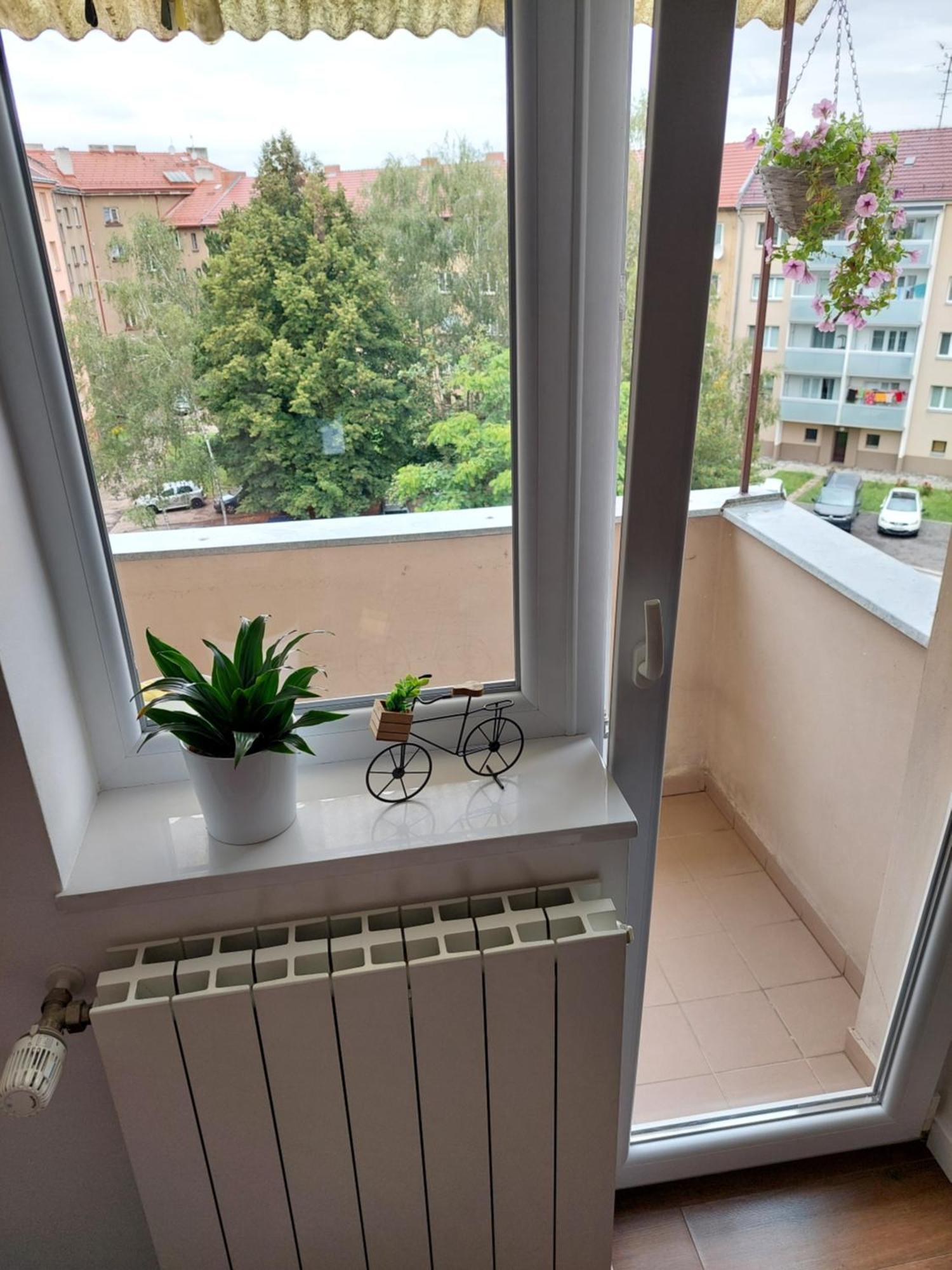 B&B Resslova Hradec Králové Eksteriør billede